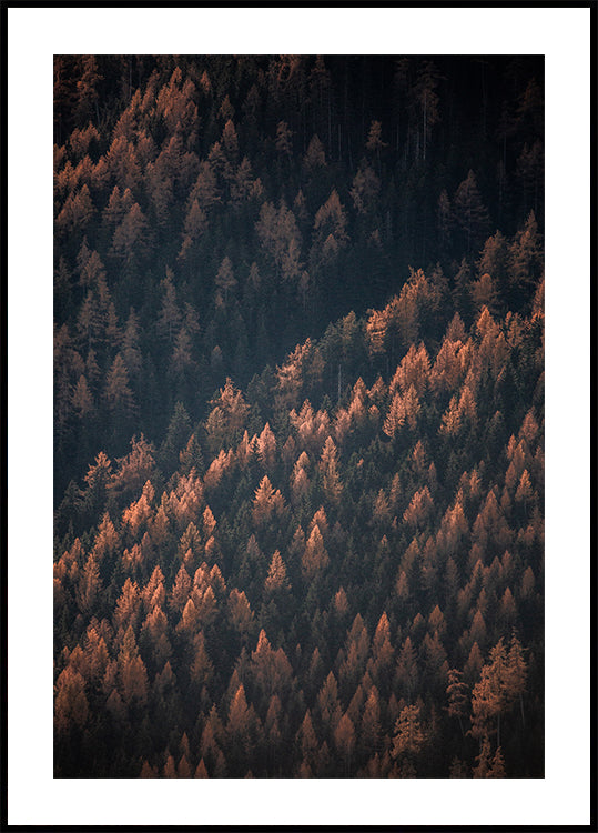 Autumn Woods 2 - Posterbox