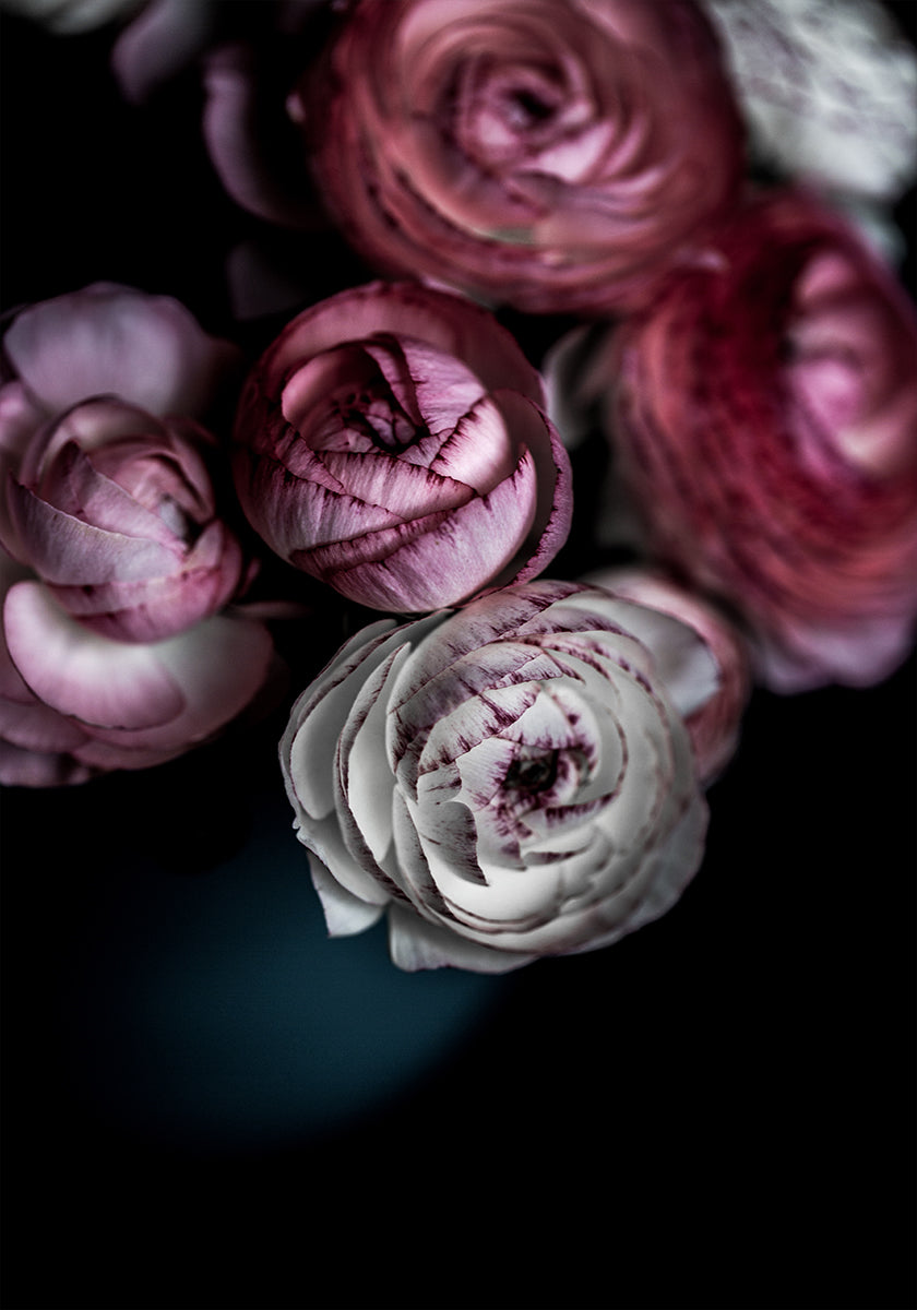 Dark Flowers 2 - Posterbox