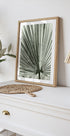 Palm Leaf (NEW) - Posterbox