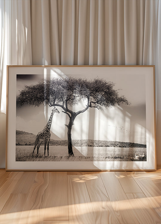 sous le soleil africain Poster