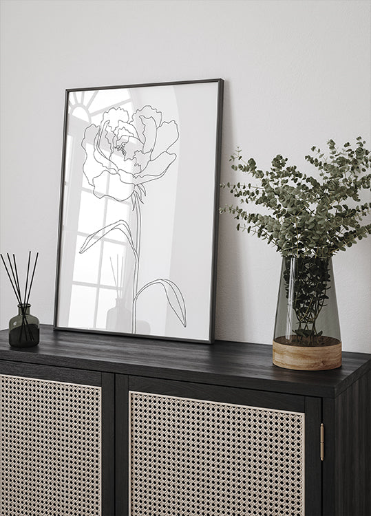 Lignes de pivoine