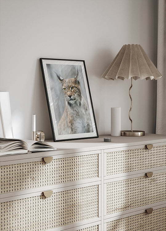 Portrait de lynx dans le brouillard Poster