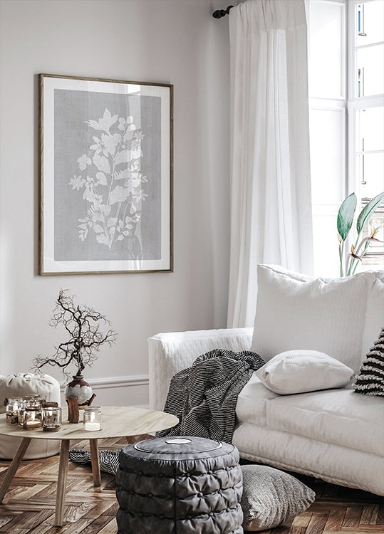 Illustration botanique 2 Poster