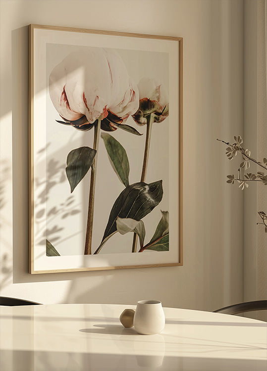 Pivoine 24 (NOUVEAU)