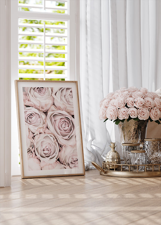 Roses roses n°01