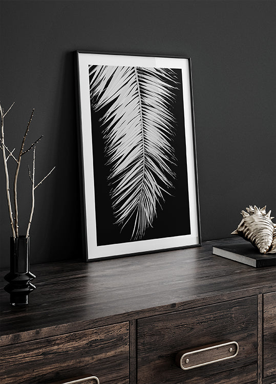 Feuille de palmier n°4 Poster