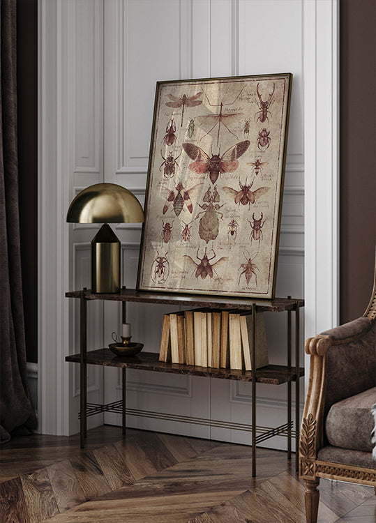 Insectes de style vintage Poster