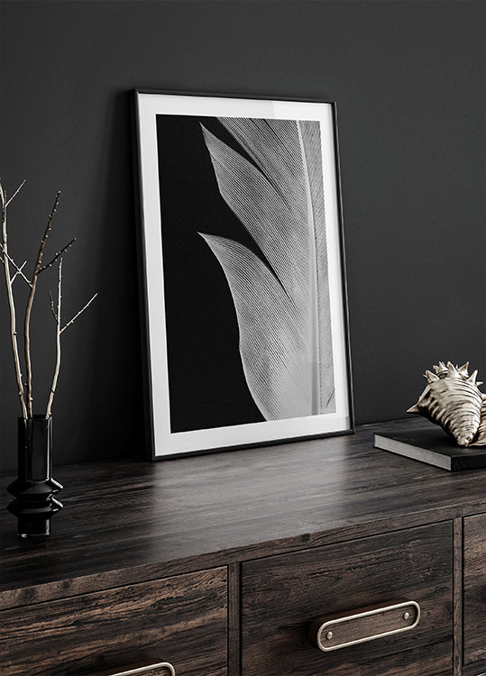 Plume n°5 Poster