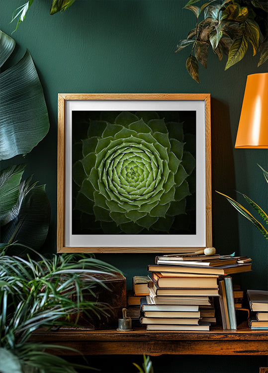 Succulente Affiche