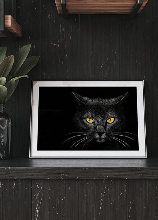 Chat noir Poster