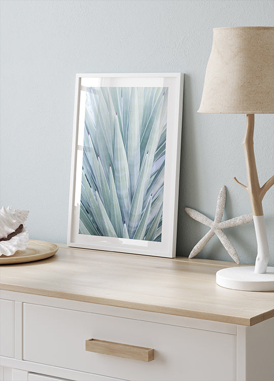 Danse de l'agave azur