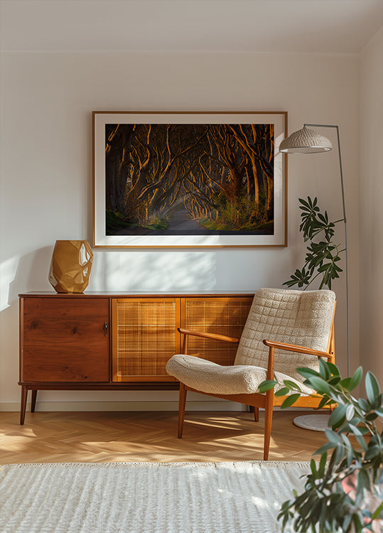 Les haies sombres sous le soleil du matin