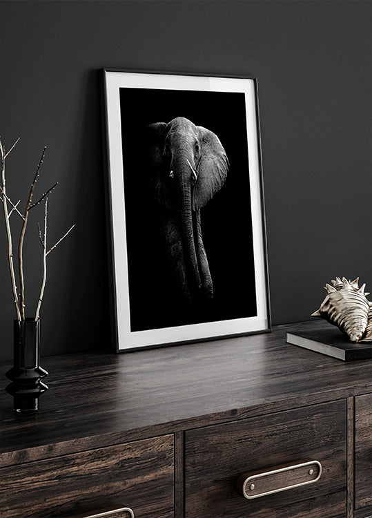 Éléphant!