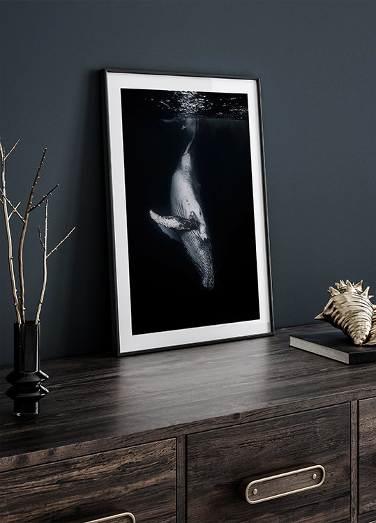 Baleine noire Poster
