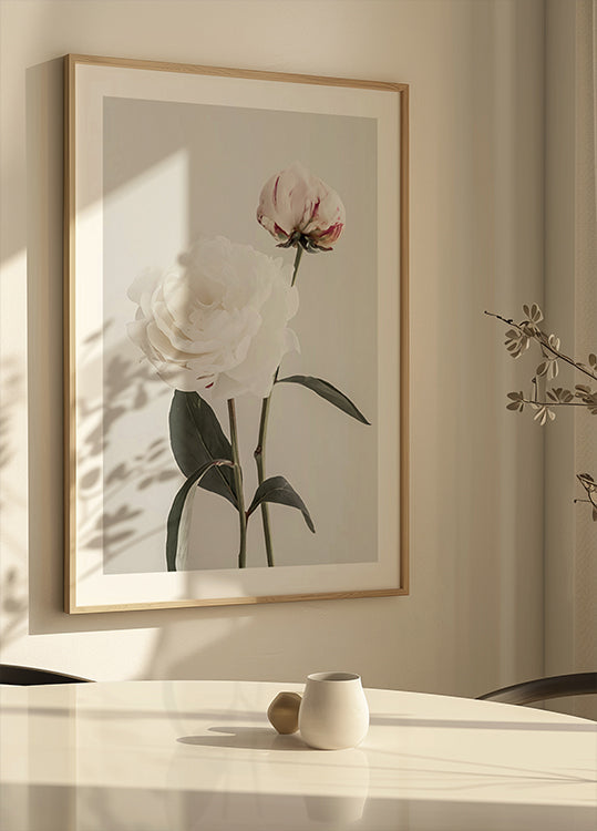 Pivoine 12
