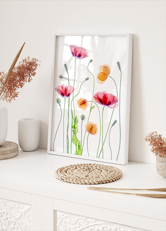 Coquelicots Poster