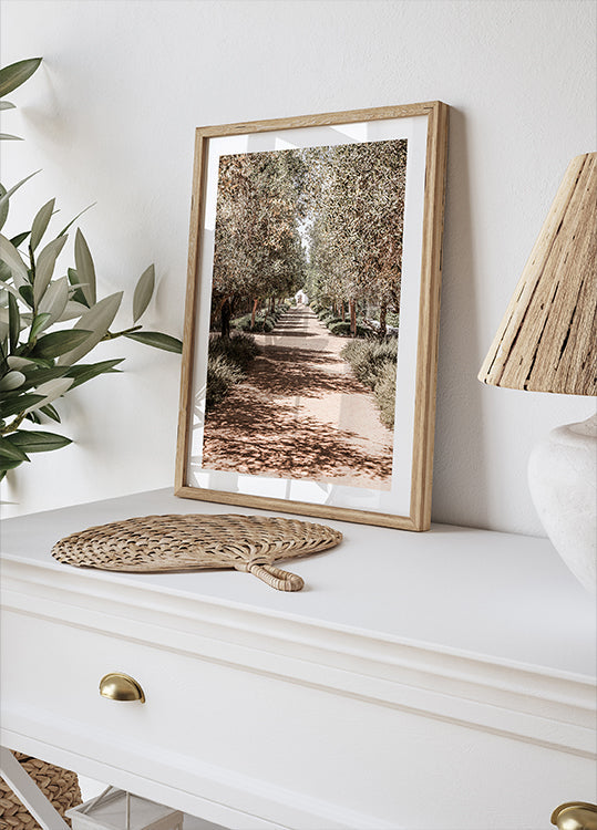 A Serene Tree Lined Path with Sunlight Plakat