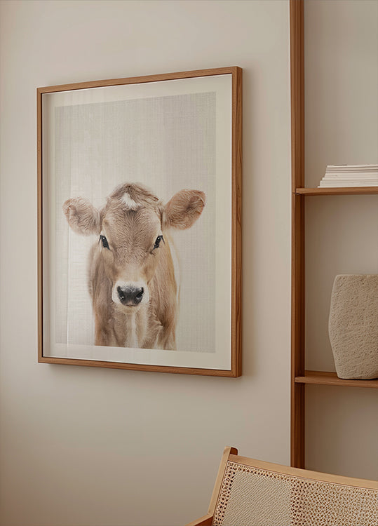 Peekaboo bébé vache Poster