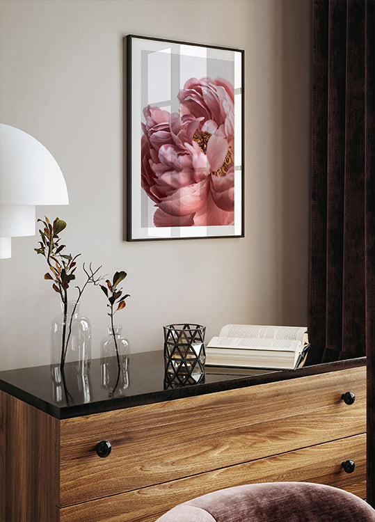 Pivoine