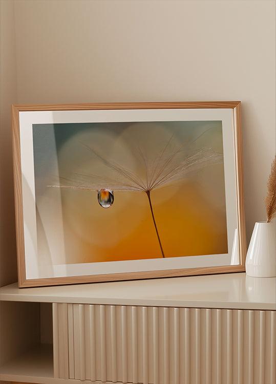 Petite musique de nuit...