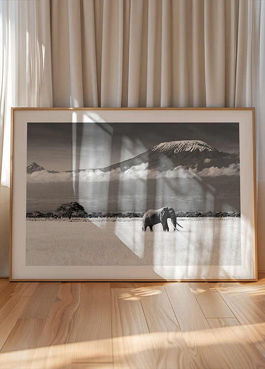 Couleurs perdues II Poster