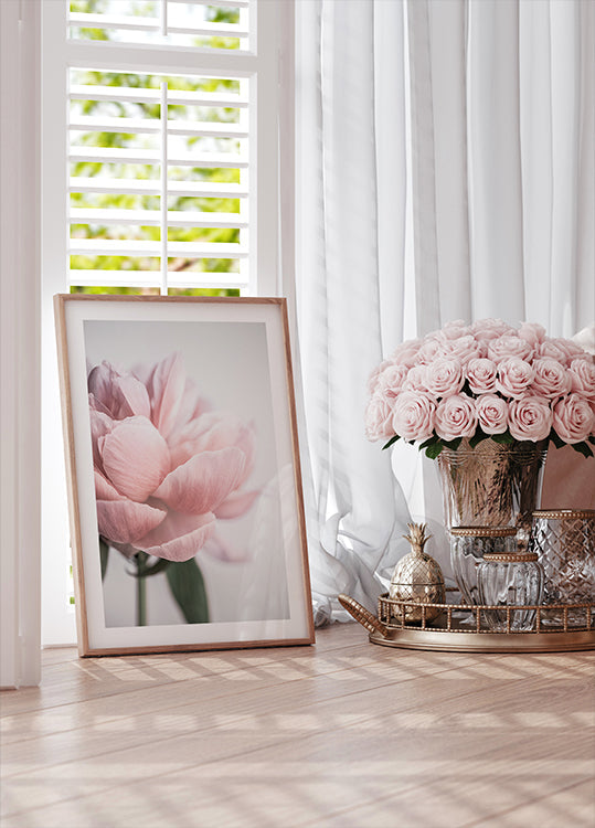 Pivoine 3