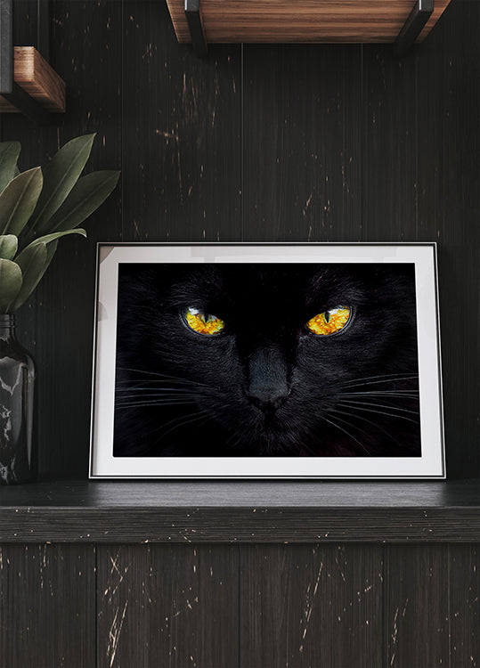 L'hypnotiseur de la nuit