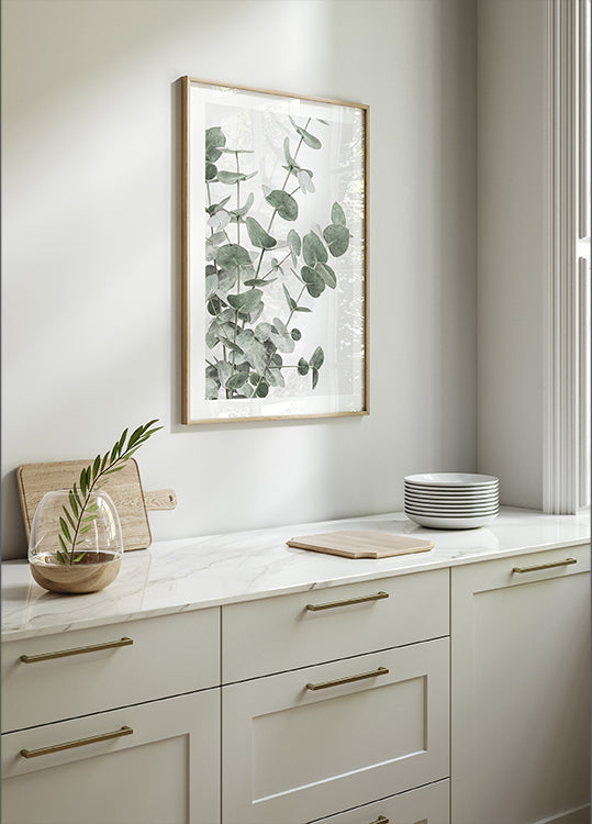 Eucalyptus n°2 Poster