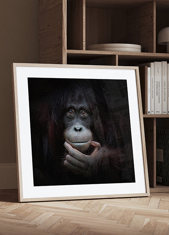 L'IMAGE MIROIR Poster