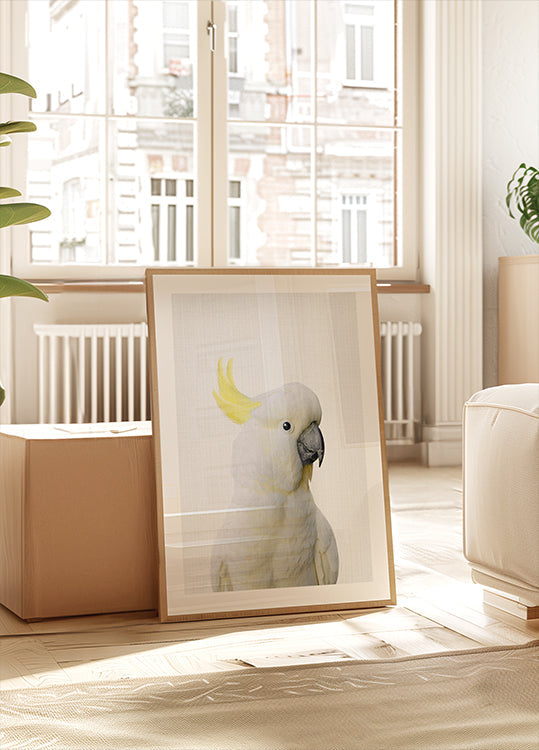 Cacatoès Peekaboo Poster