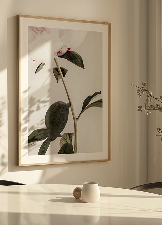 Pivoine 09