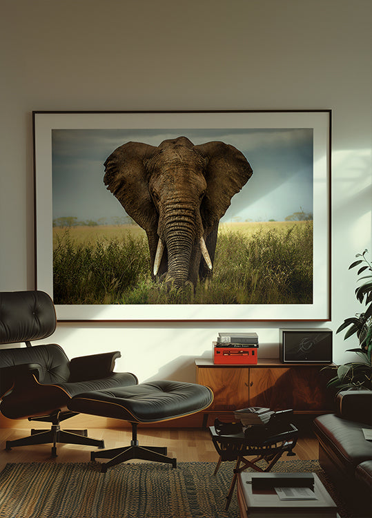 Rencontres dans le Serengeti