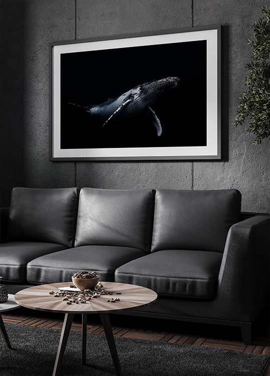 Noir et baleine Poster