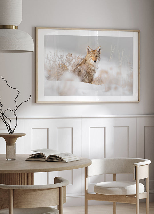 Coyote assis sur la neige Poster