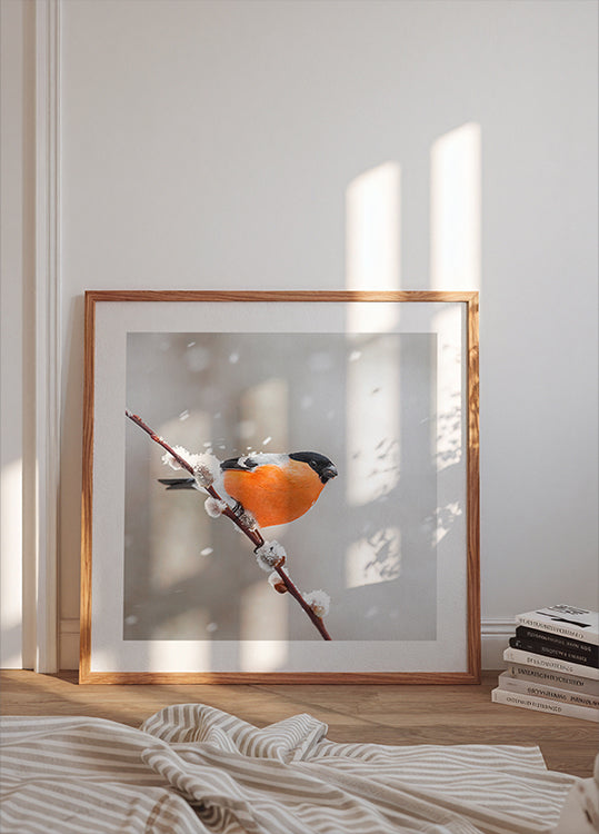 Posters Bouvreuil dans une tempête de neige