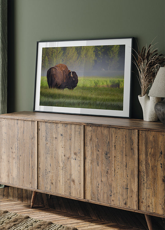 Bison à la lumière du matin Poster