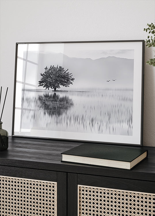 Miroir à ressort