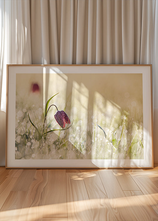 Rosée du matin