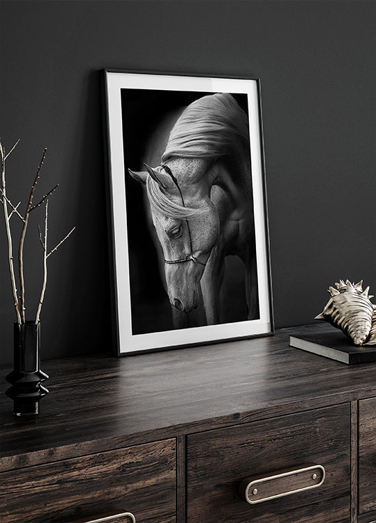 étalon blanc Poster