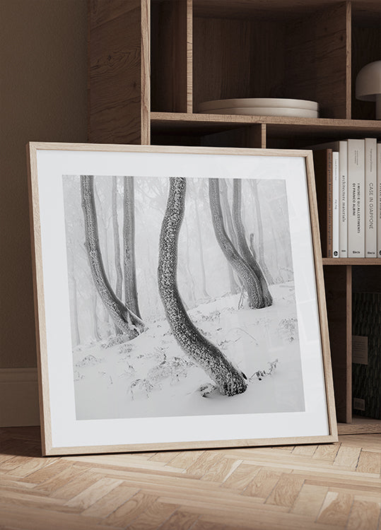 Posters Forêt gelée