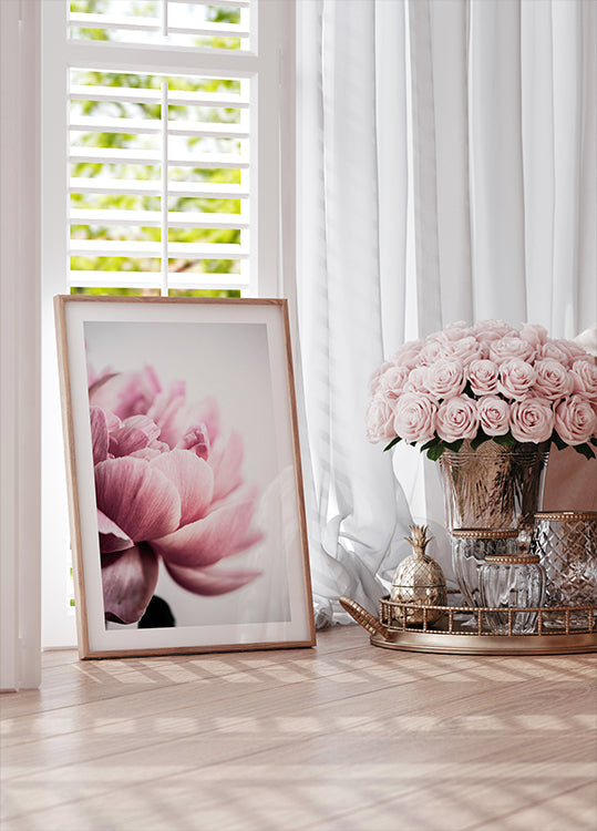 Pivoine 1