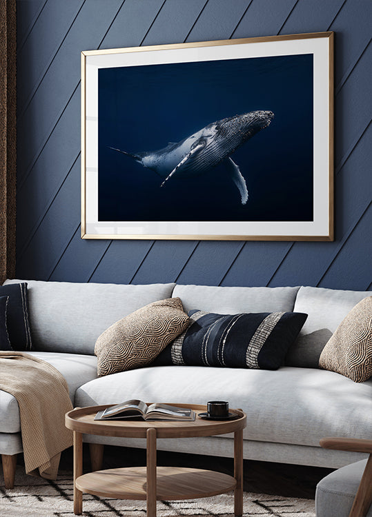 Baleine à bosse en bleu Poster