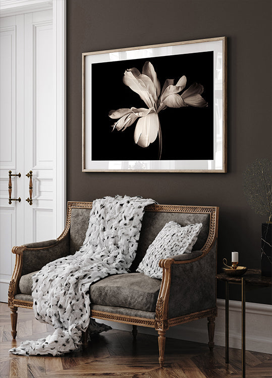 Tulipe Empereur Exotique Poster