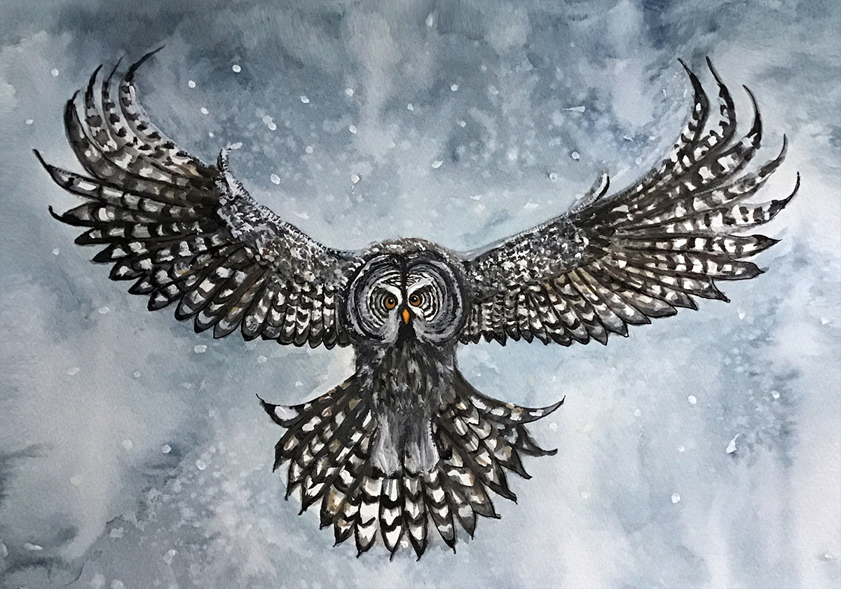 great grey owl Plakat - Posterbox