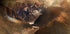 Mont Blanc Massiv Plakat - Posterbox