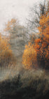 Autumn Forest Plakat - Posterbox