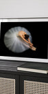Elegance - Posterbox