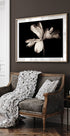 Tulip Exotic Emperor Plakat - Posterbox