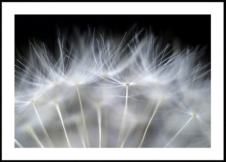 Blow it Plakat - Posterbox
