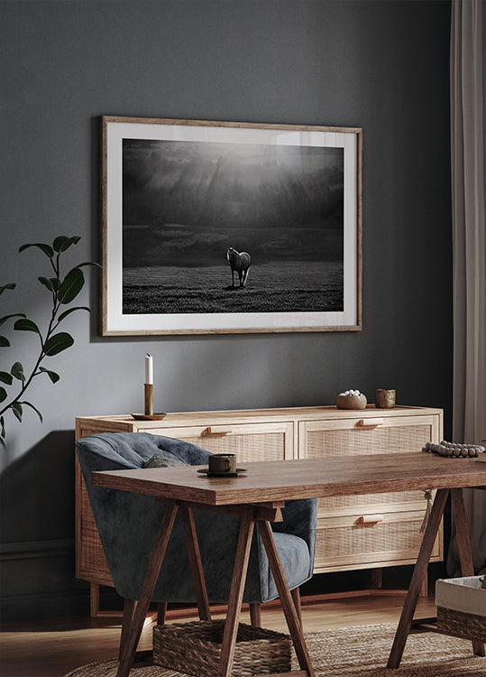 morning appearance - Posterbox